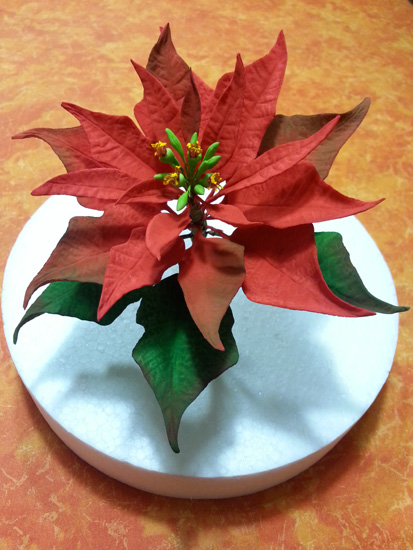 Stella Di Natale Pdz.Tutorial Di Cake Design Come Realizzare Una Stella Di Natale Cakemania Eco Food Blog Di Sasha Carnevali