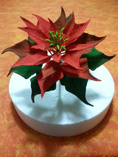 Stella Di Natale Pasta Zucchero.Tutorial Di Cake Design Come Realizzare Una Stella Di Natale Cakemania Eco Food Blog Di Sasha Carnevali