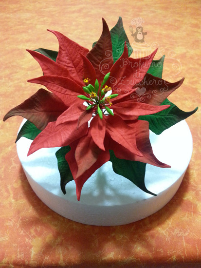 Stella Di Natale Tutorial.I 10 Migliori Tutorial Di Cake Design Di Natale