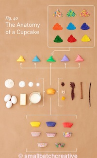 cupcakeAnatomy