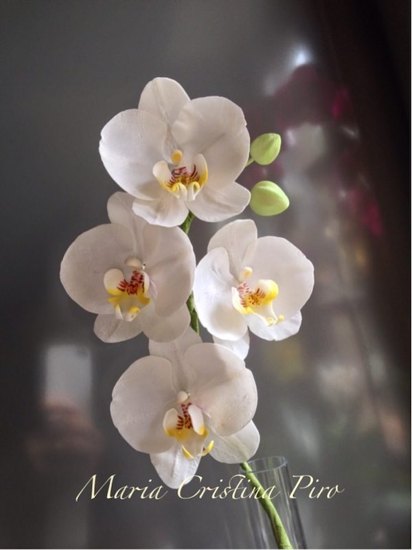 ORCHIDEA PHALAENOPSIS in gum paste