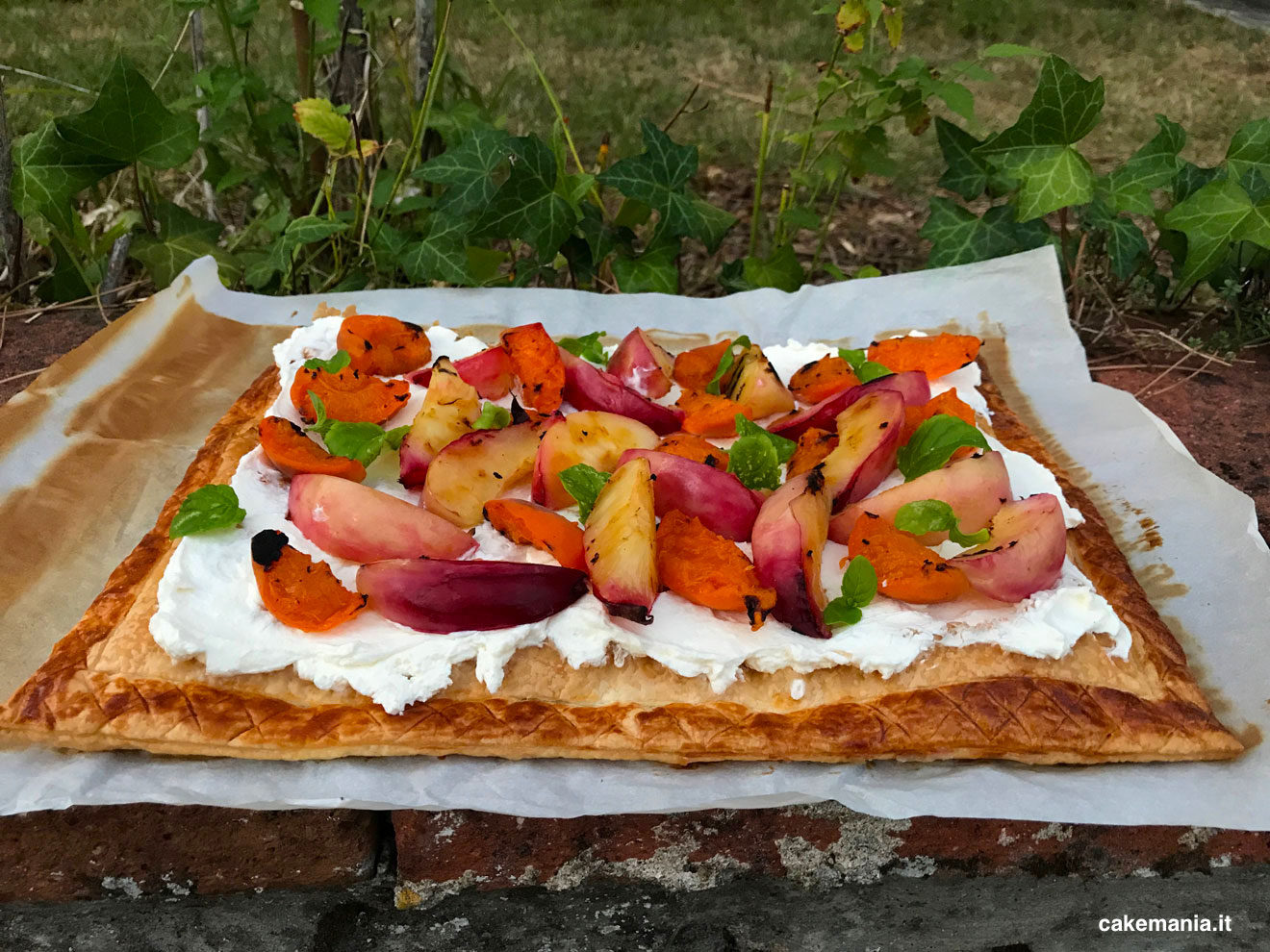torta di frutta senza zucchero