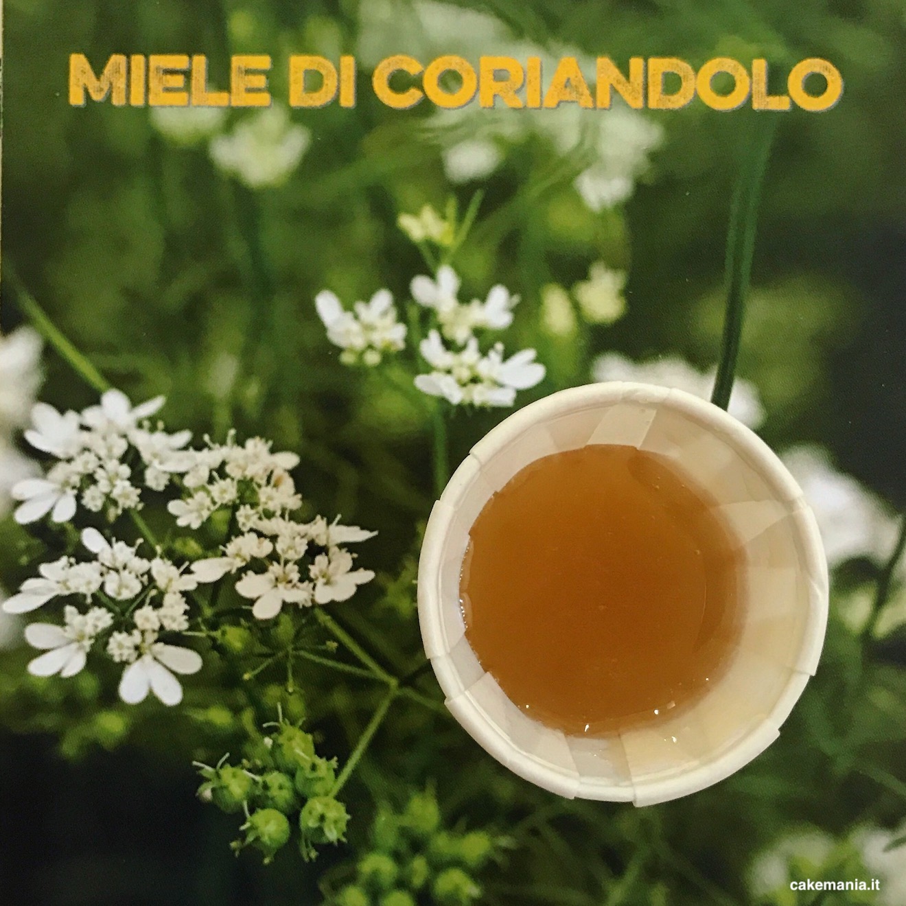 miele di coriandolo