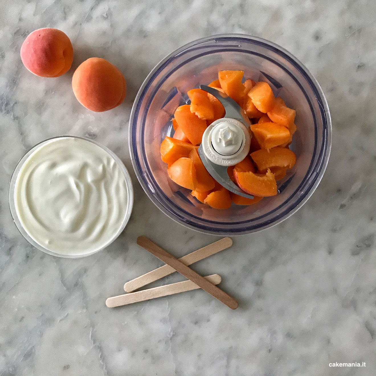 ricetta frozen yogurt