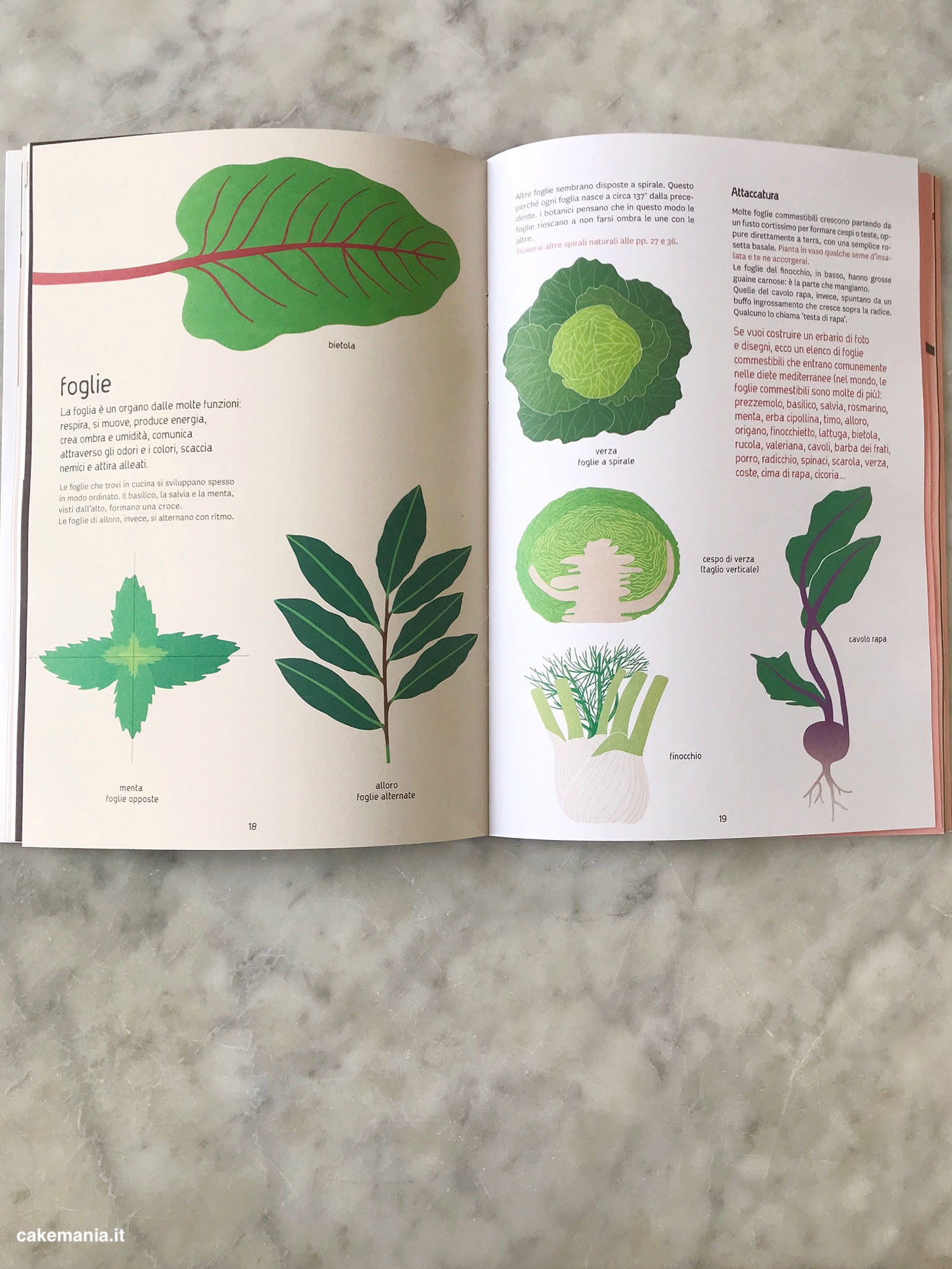 naturalisti in cucina